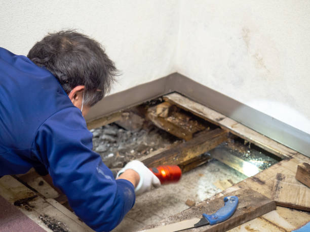 Best Home Mold Removal  in Crenshaw, MS