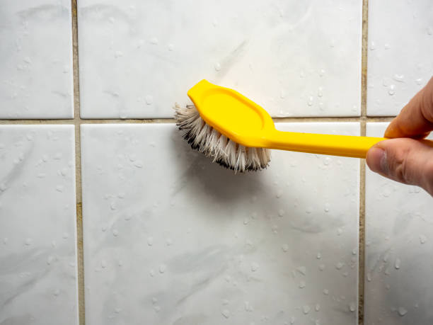 Best Mold Testing and Removal  in Crenshaw, MS