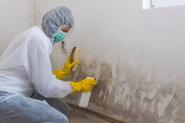 Attic Mold Removal in Crenshaw, MS