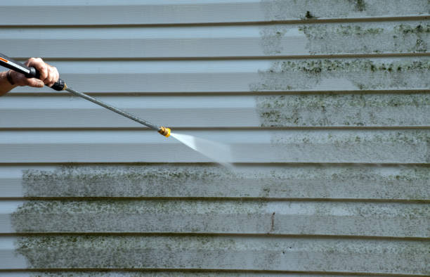 Professional Mold Removal in Crenshaw, MS