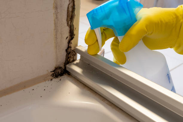 Best Fast Mold Removal  in Crenshaw, MS