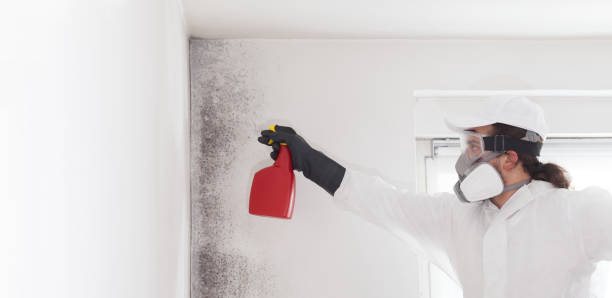Best Professional Mold Removal  in Crenshaw, MS