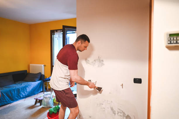 Best Mold Removal Near Me  in Crenshaw, MS