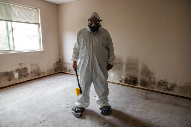 Best Office Mold Removal Services  in Crenshaw, MS