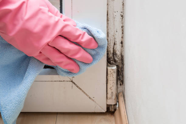 Best Mold Remediation  in Crenshaw, MS