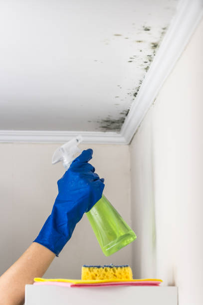 Best Mold Testing  in Crenshaw, MS